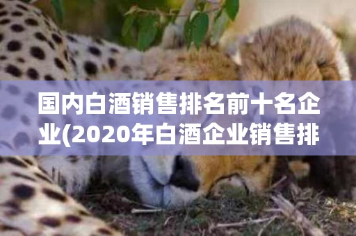 国内白酒销售排名前十名企业(2020年白酒企业销售排行榜前十名)