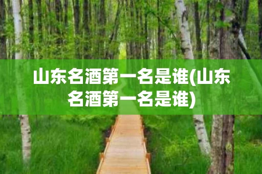 山东名酒第一名是谁(山东名酒第一名是谁)