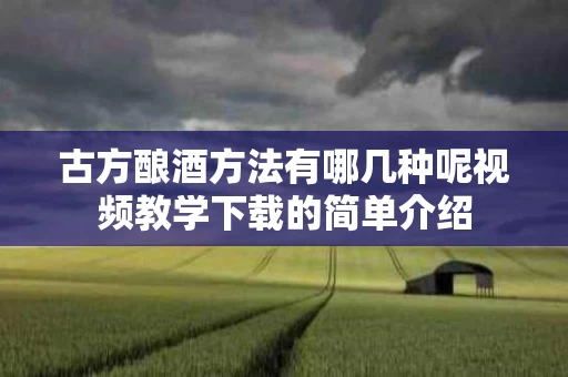古方酿酒方法有哪几种呢视频教学下载的简单介绍