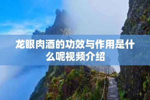 龙眼肉酒的功效与作用是什么呢视频介绍 龙眼肉酒的功效与作用是什么呢视频介绍