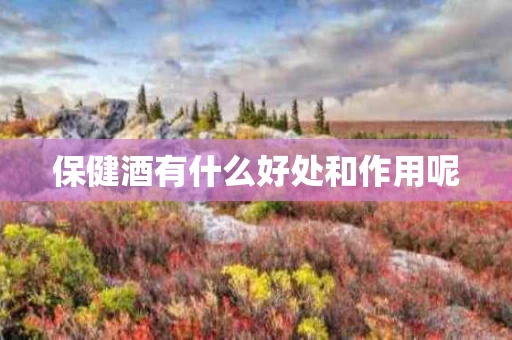 保健酒有什么好处和作用呢