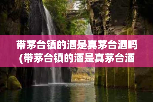 带茅台镇的酒是真茅台酒吗(带茅台镇的酒是真茅台酒吗知乎)