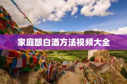 家庭酿白酒方法视频大全