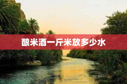 酿米酒一斤米放多少水