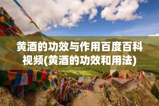 黄酒的功效与作用百度百科视频(黄酒的功效和用法)