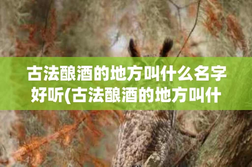 古法酿酒的地方叫什么名字好听(古法酿酒的地方叫什么名字好听一点)