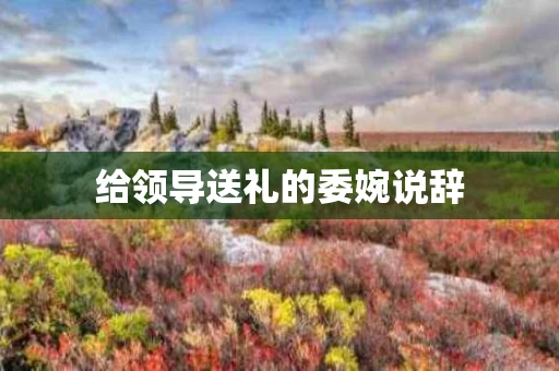 给领导送礼的委婉说辞