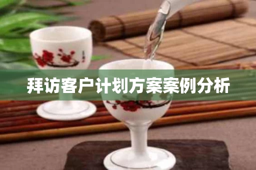 拜访客户计划方案案例分析