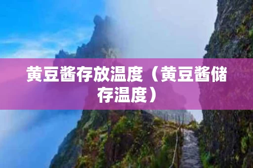 黄豆酱存放温度（黄豆酱储存温度）