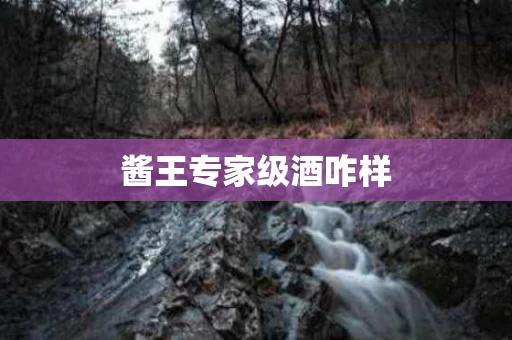 酱王专家级酒咋样