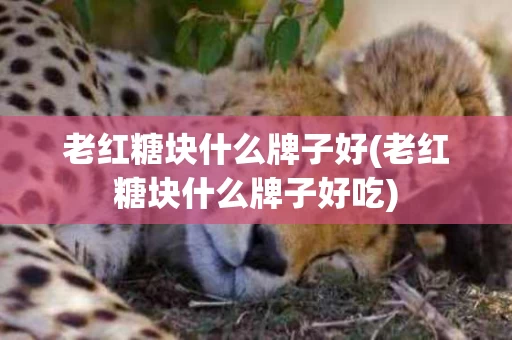 老红糖块什么牌子好(老红糖块什么牌子好吃)