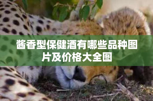 酱香型保健酒有哪些品种图片及价格大全图
