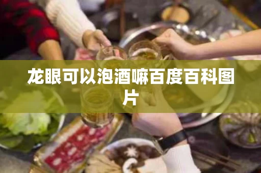 龙眼可以泡酒嘛百度百科图片