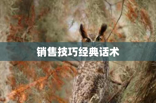 销售技巧经典话术