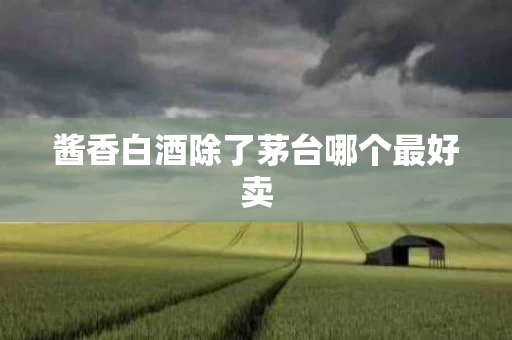 酱香白酒除了茅台哪个最好卖