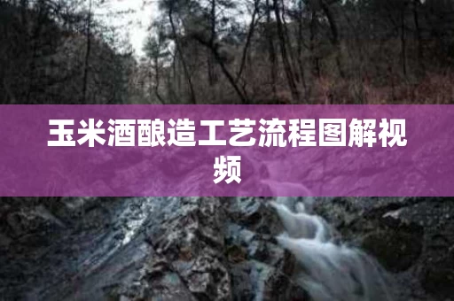 玉米酒酿造工艺流程图解视频
