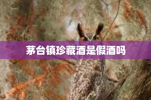 茅台镇珍藏酒是假酒吗