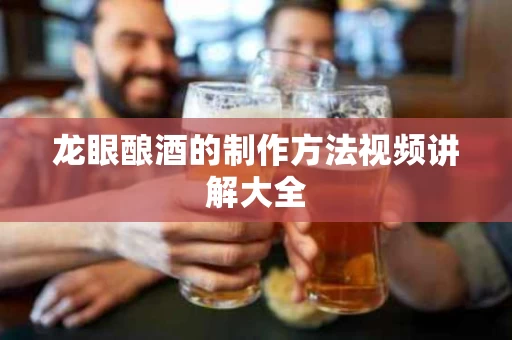 龙眼酿酒的制作方法视频讲解大全