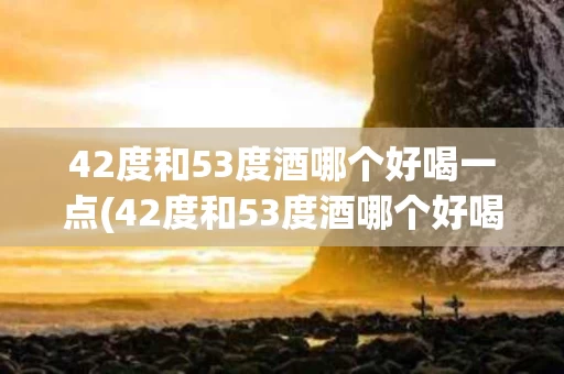 42度和53度酒哪个好喝一点(42度和53度酒哪个好喝一点呢)