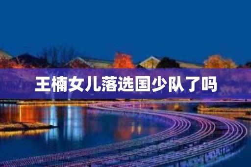 王楠女儿落选国少队了吗