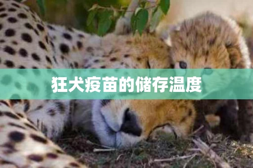 狂犬疫苗的储存温度