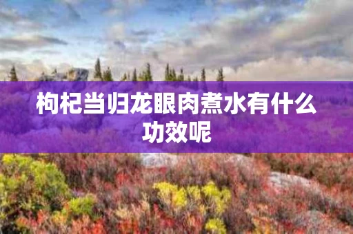 枸杞当归龙眼肉煮水有什么功效呢