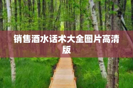 销售酒水话术大全图片高清版