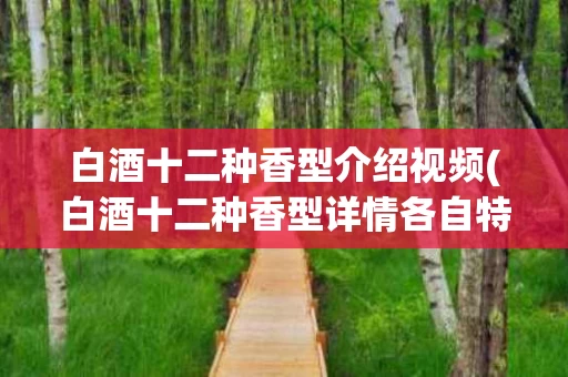 白酒十二种香型介绍视频(白酒十二种香型详情各自特点)