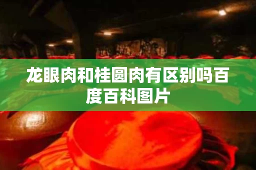 龙眼肉和桂圆肉有区别吗百度百科图片