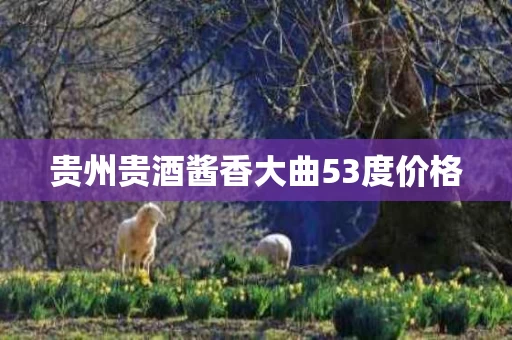 贵州贵酒酱香大曲53度价格