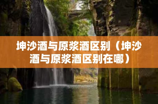 坤沙酒与原浆酒区别（坤沙酒与原浆酒区别在哪）