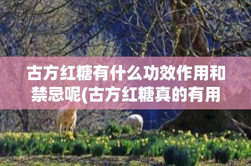 古方红糖有什么功效作用和禁忌呢(古方红糖真的有用吗)