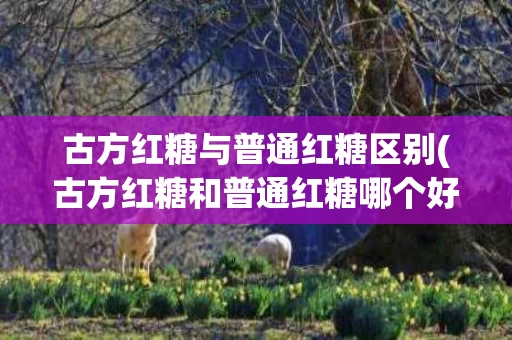 古方红糖与普通红糖区别(古方红糖和普通红糖哪个好)