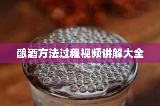 酿酒方法过程视频讲解大全