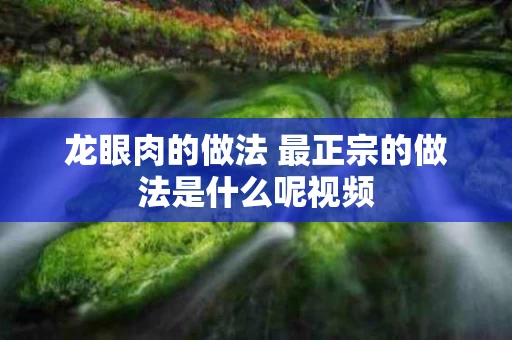 龙眼肉的做法 最正宗的做法是什么呢视频