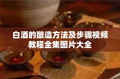 白酒的酿造方法及步骤视频教程全集图片大全