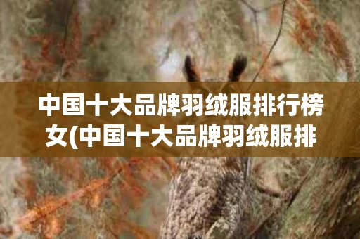 中国十大品牌羽绒服排行榜女(中国十大品牌羽绒服排行榜女装)