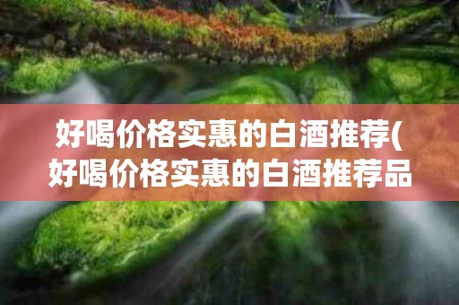 好喝价格实惠的白酒推荐(好喝价格实惠的白酒推荐品牌)
