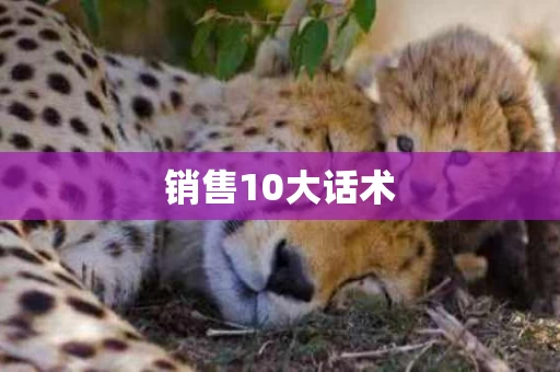 销售10大话术