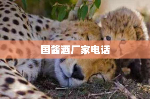 国酱酒厂家电话