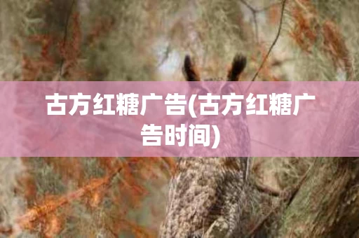 古方红糖广告(古方红糖广告时间)