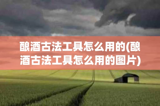 酿酒古法工具怎么用的(酿酒古法工具怎么用的图片)