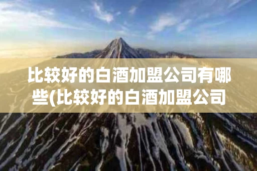比较好的白酒加盟公司有哪些(比较好的白酒加盟公司有哪些牌子)