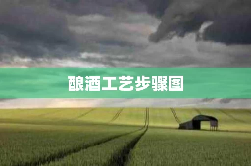 酿酒工艺步骤图