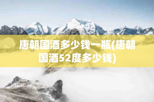 唐朝国酒多少钱一瓶(唐朝国酒52度多少钱)