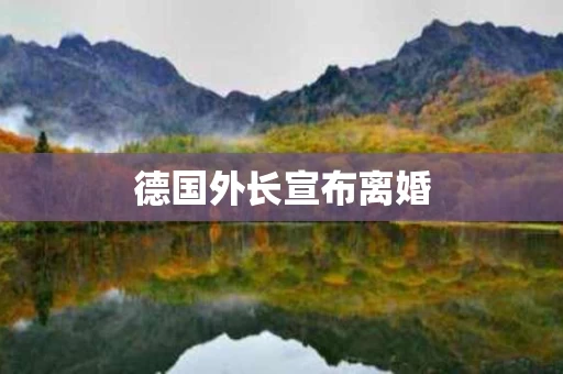德国外长宣布离婚