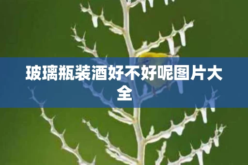 玻璃瓶装酒好不好呢图片大全
