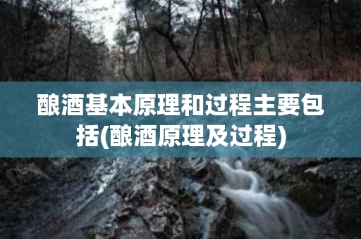 酿酒基本原理和过程主要包括(酿酒原理及过程)