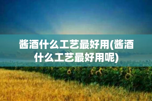 酱酒什么工艺最好用(酱酒什么工艺最好用呢)