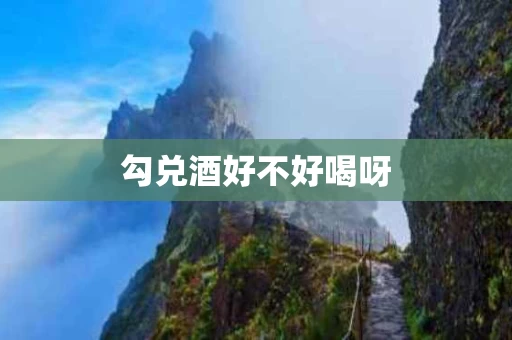勾兑酒好不好喝呀